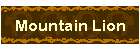 Mountain Lion